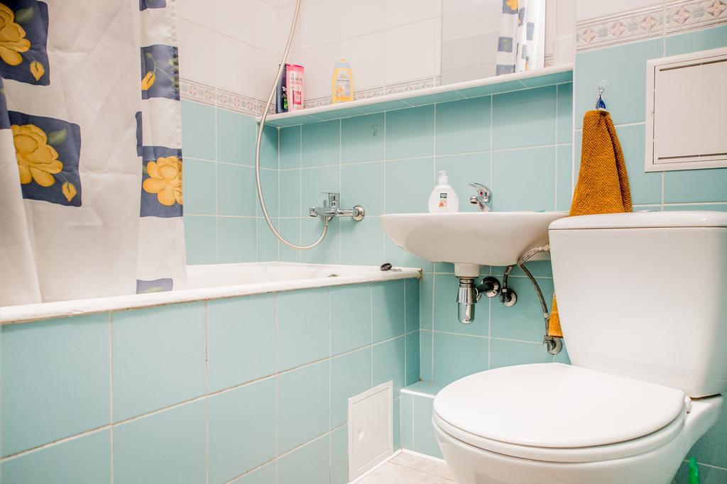 Apartment On Raisy Okipnoi 5 Kyiv