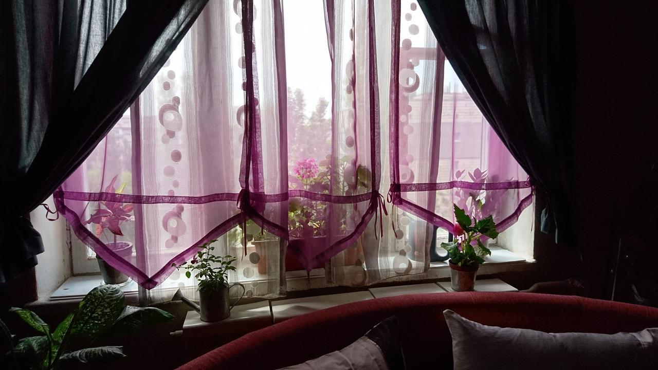 On Raisy Okipnoi 5 Киев